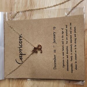 Capricorn Necklace Zodiac Goldtone 19 Inch